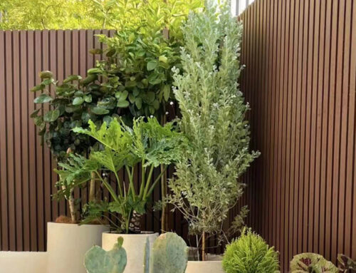 6 Unique Garden Decking Ideas to Transform Your Outdoor Living Space
